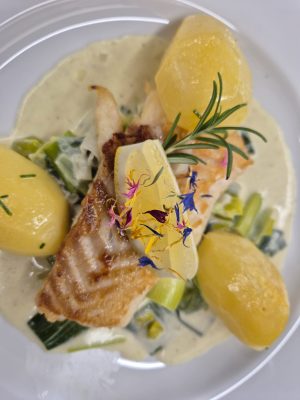 WhatsApp Image 2026-03-02 at 13.28.54